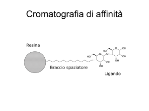 Cromatografia di affinita