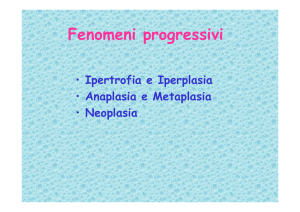 Fenomeni progressivi