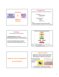 Microsoft PowerPoint - InfEmpoli5\260-6\260LezVirPat09