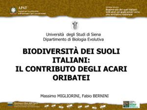 Presentazione di PowerPoint