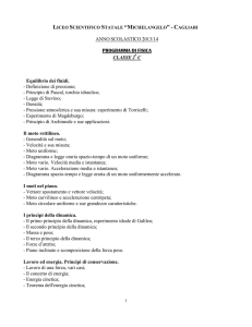 liceo scientifico "e. amaldi" - Liceo Scientifico Michelangelo