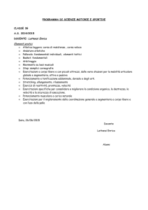 programma 3G - Maffeo Pantaleoni