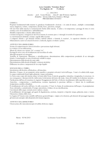 Liceo Scientifico “Giordano Bruno” - i.i.s. bruno