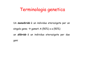 scarica PDF