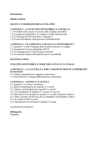 Abstract della tesi e indice