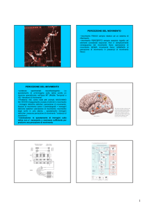 PERCEZIONE DEL MOVIMENTO PERCEZIONE DEL