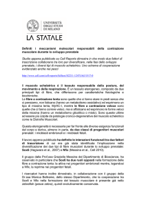 Definiti i meccanismi molecolari responsabili della