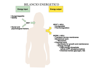 Lezione 8: digerente