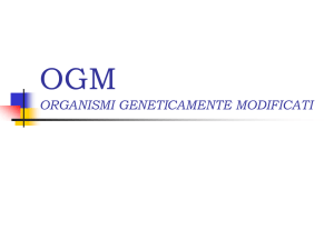 ogm organismi geneticamente modificati