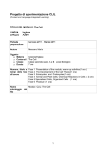 Progetto di sperimentazione CLIL