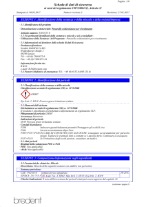 Scheda di sicurezza 33001150