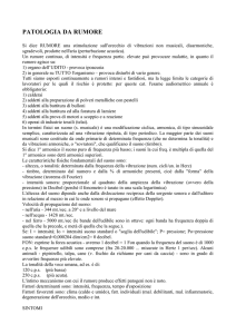 patologia da rumore - Medicina del lavoro