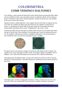 scheda esplicativa