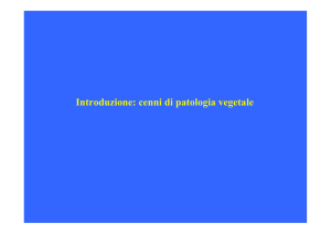 Diapositiva 1 - Atlas of Plant Pathog
