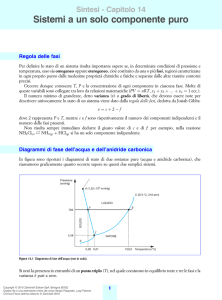 Capitolo 14 Sistemi ad un solo componente puro