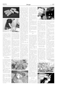 no livelli di ansia molto ele- vata, impulsività, aggressivi- tà