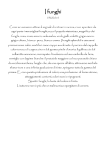 I funghi - Gruppo Micologico Torinese