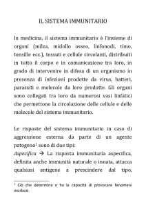 IL SISTEMA IMMUNITARIO