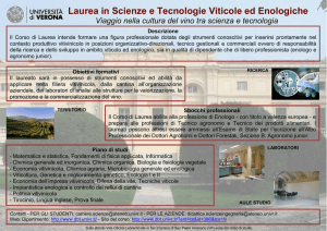 Laurea in Scienze e Tecnologie Viticole ed Enologiche