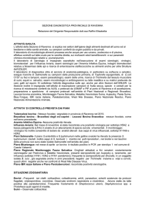 Ravenna - Izsler