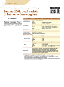 Semina 2009: quali varietà di frumento duro scegliere