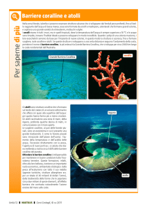 ON-LINE B12.indd