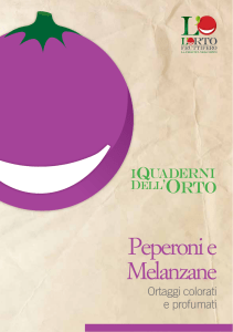 Peperoni e Melanzane
