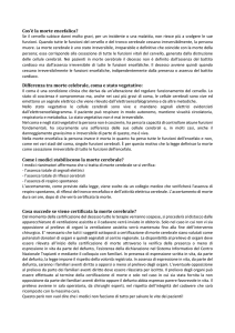 Cos`è la morte encefalica? Differenza tra morte celebrale, coma e