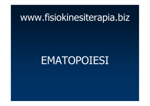 ematopoiesi - Fisiokinesiterapia