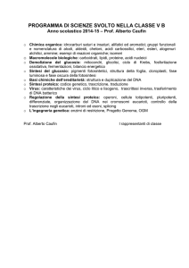 Programma svolto 5 B 2014-15