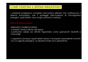 COME FUNZIONA IL SISTEMA IMMUNITARIO