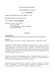 Ost 1a2s Fisiologia Umana Melis 2014-15
