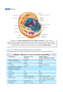 2.4.3 Differenze tra cellula procariotica ed eucariotica 722
