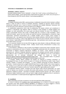 POTATURA DI RISANAMENTO DEL CASTAGNO