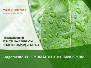Diapositiva 1 - Progetto e