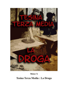 Tesina Terza Media : La Droga