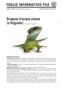 Dragone d`acqua cinese - Protezione Svizzera degli Animali PSA