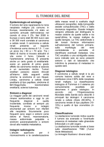 k rene info pz sett 2014