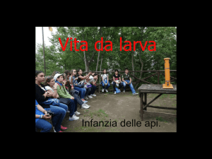 VITA DA LARVA - IC Fisciano Lancusi