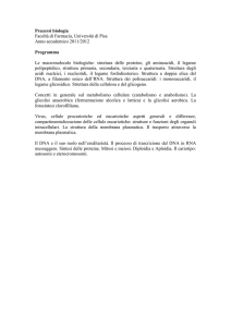 Programma - Dipartimento di Farmacia