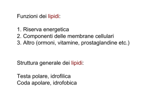 lez.19 biochimica