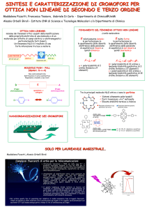 Presentazione di PowerPoint - Dipartimento di Chimica