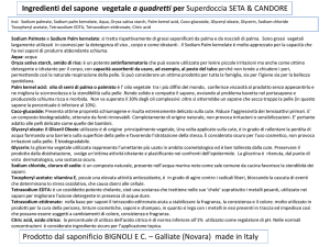 Presentazione standard di PowerPoint