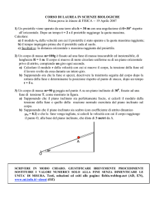 Testo e soluzione