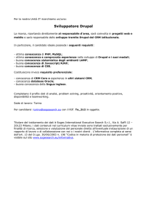 Sviluppatore Drupal