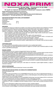 Foglio Illustrativo PDF