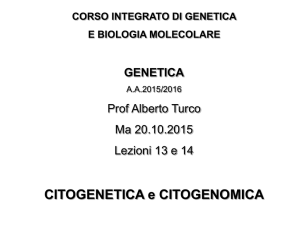 Citogenetica Molecolare