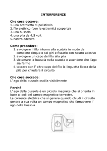 1. una scatoletta di polistirolo 2. filo elettrico (con le estremità scoperte)