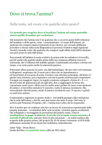 Dove si trova l`anima?