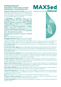 Scarica il PDF